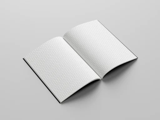 hexagonal graph notebook