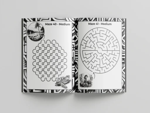 Maze book for teens p4